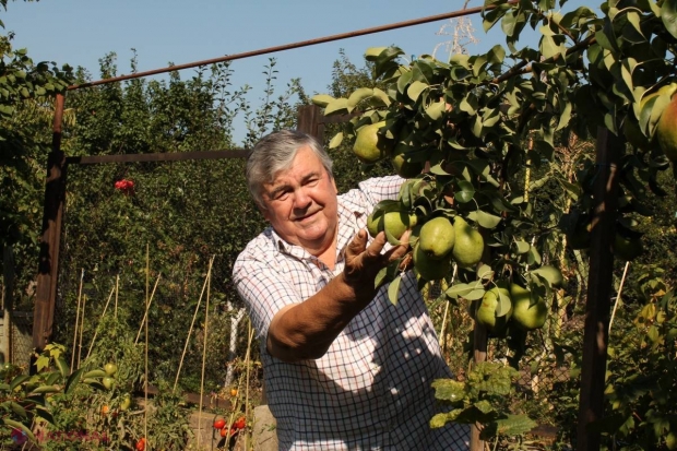 Vila președintelui