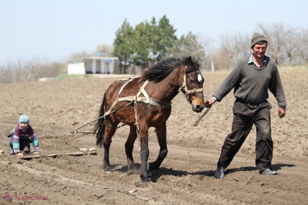 Lucrările de primăvară – muncă sisifică din cauza scumpirilor