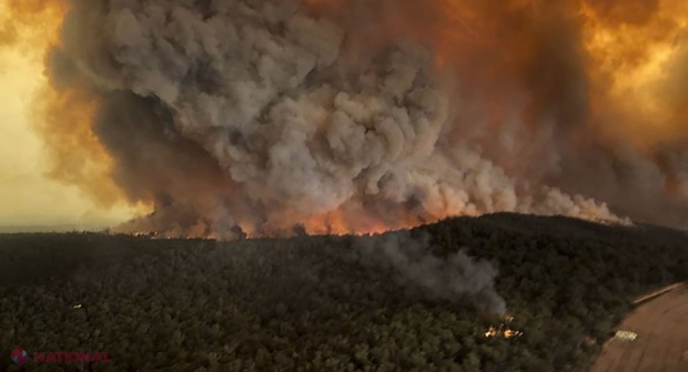 Incendiile din Australia ar putea afecta toată planeta. Anunţul făcut de NASA: cum se poate schimba atmosfera