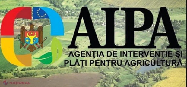 CORUPȚIE la AIPA: Subvenții grase pentru rude și pentru companii care trebuiau să le dea un comision de 10% funcționarilor de la Agenție. Reacția instituției