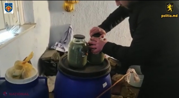 VIDEO // Droguri puse în borcane de trei litri și ascunse în PĂMÂNT la Florești. Captura polițiștilor depășește trei MILIOANE de lei