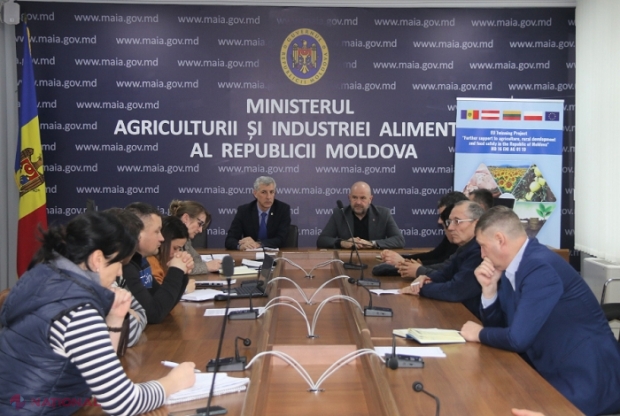 MAIA lucrează la un nou mecanism de subvenționare pentru crescătorii de bovine din R. Moldova: „Subvenții per kilogram de lapte livrat în baza facturilor și per cap de junincă”