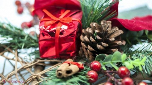 Plante de Crăciun care sunt OTRĂVITOARE