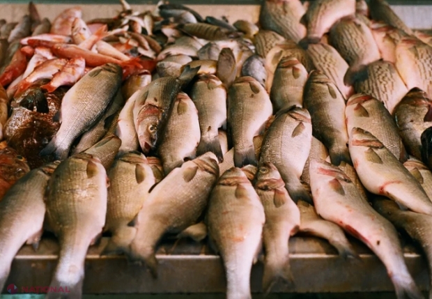 Peștele, un produs perisabil, care se alterează ușor: Sfaturi de la specialiști cum să deosebiți produsele pescărești potrivite pentru consum