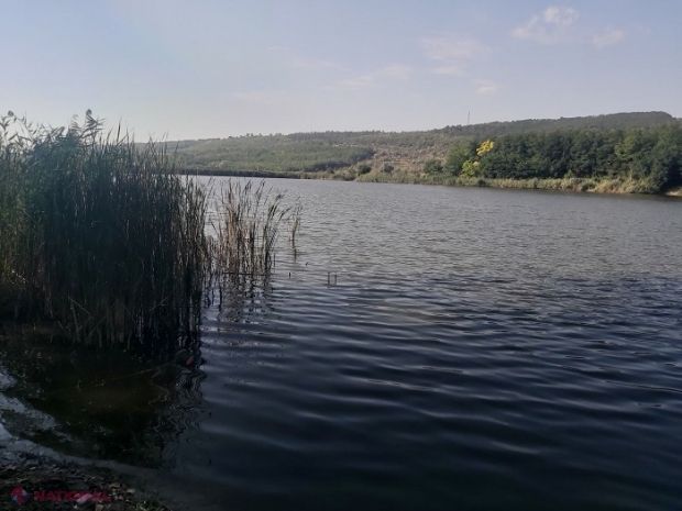 METEO // Se întoarce „vara” în R. Moldova: Ce maxime sunt anunțate pentru săptămâna curentă