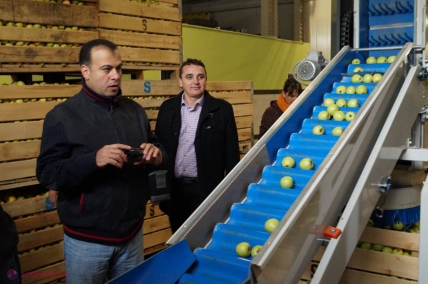 Egiptenii, impresionați de gustul merelor moldovenești! Au decis să ÎNCEAPĂ IMPORTURILE