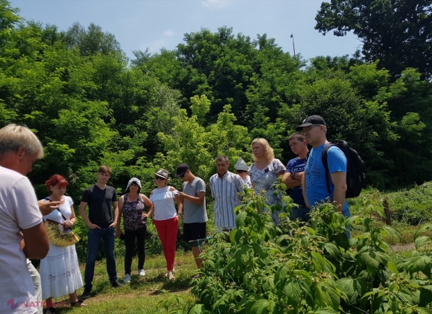 Producătorii din R. Moldova, instruiți în Serbia cum să crească pomușoare certificate ecologic