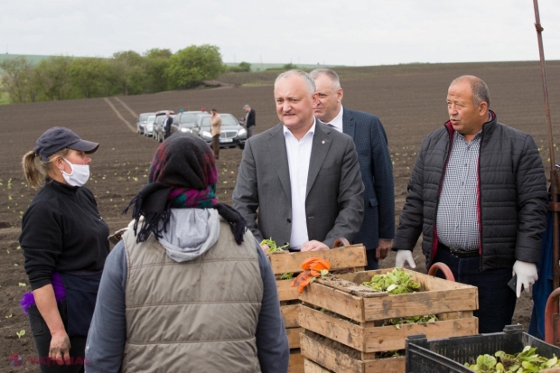 Un nou TRUC al lui Igor Dodon pentru a nu-i permite Maiei Sandu să intre în clădirea Președinției