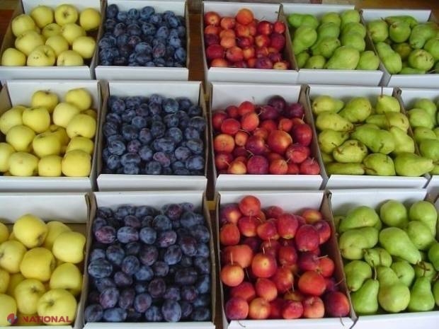 DECIS // Producătorii de fructe și legume vor primi compensații