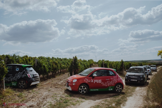 FOTO, VIDEO // Viitorul este deja mâine, fii eco-friendly astăzi! A fost organizat primul Eco Wine Maraton