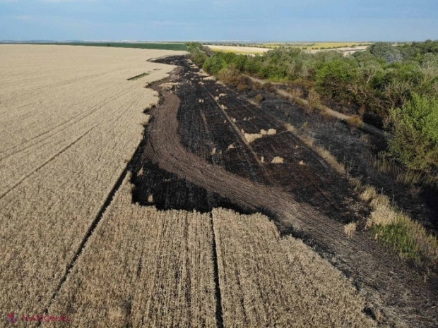 FOTO // Hectare întregi cu GRÂU și ORZ au ars la Anenii Noi