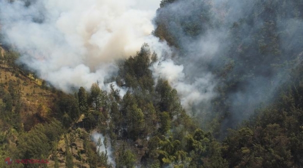 Statul care a creat „ploaia artificială” pentru a preveni incendiile puternice de vegetație
