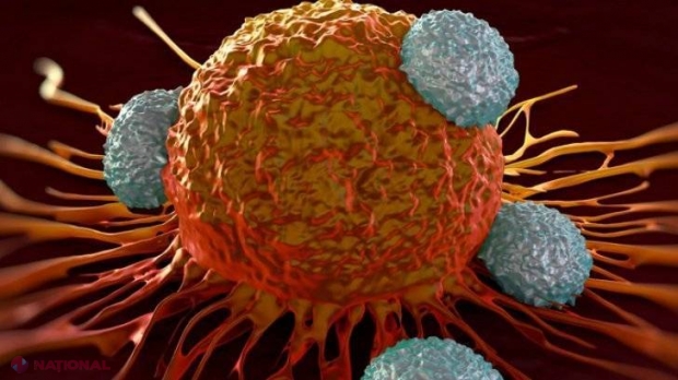 Multă lume nu ştie, însă cu toţii avem celule canceroase în corp. Ce le face să se răspândească?
