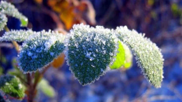 METEO // Cod galben de ÎNGHEȚURI pe tot teritoriul R. Moldova: Temperaturi de până la minus 6 grade Celsius în această noapte