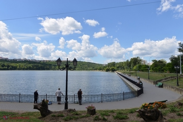 Zeci de kilograme de pește MORT, colectate zilnic din lacul situat în Parcul „Valea Morilor”: Care este problema și cum intenționează s-o soluționeze autoritățile capitalei