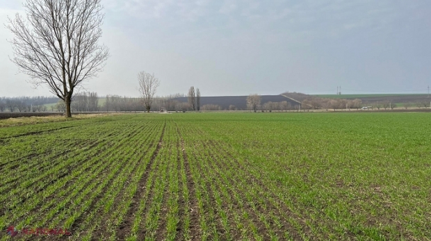 COMPENSAȚII // Două milioane de lei pentru fermierii de la Dubăsari, care suportă pierderi din cauza taxelor ilegale impuse de regimul de la Tiraspol