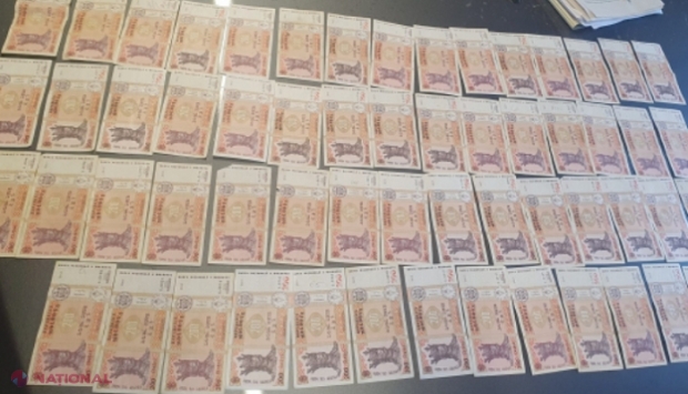 VIDEO // Doi frați de la Sângerei, reținuți pentru că ar fi furat SUTE de MII de lei din gospodăriile oamenilor: Borcan cu 100 000 de lei, îngropat în grădina casei