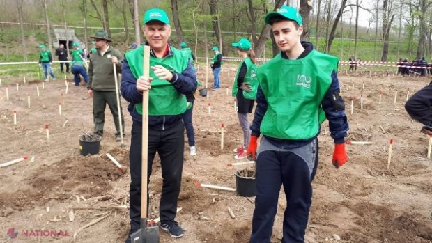 Pădurea CENTENAR, plantată pe ambele maluri ale Prutului