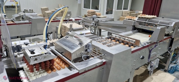 PRIMUL producător de OUĂ din R. Moldova care a primit acceptul să exporte pe piața Uniunii Europene: Găinile, crescute într-un sat din nordul R. Moldova