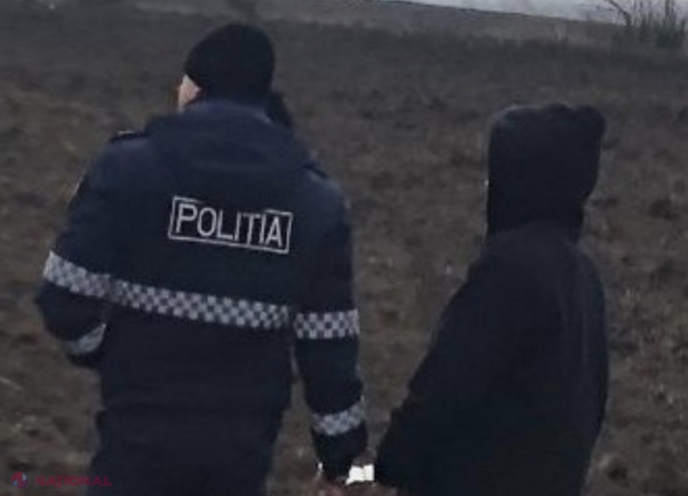 VIDEO // S-a enervat că oile pășteau pe terenurile lui și le-a omorât stăpânul: Presupusul ucigaș, care se ascundea la o stână, a fost prins