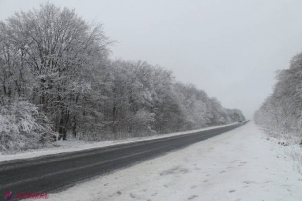 METEO // Primele zile de IARNĂ aduc FULGI în R. Moldova