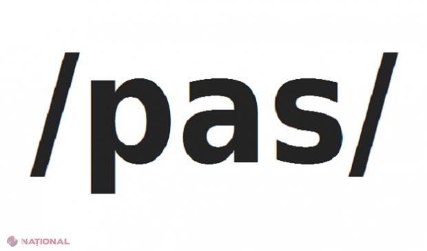 PAS: Compania selectată de Guvernul PD să implementeze așa-numitul program „cetățenie prin investiții” a figurat în investigațiile jurnalistei malteze care a fost asasinată în octombrie 2017