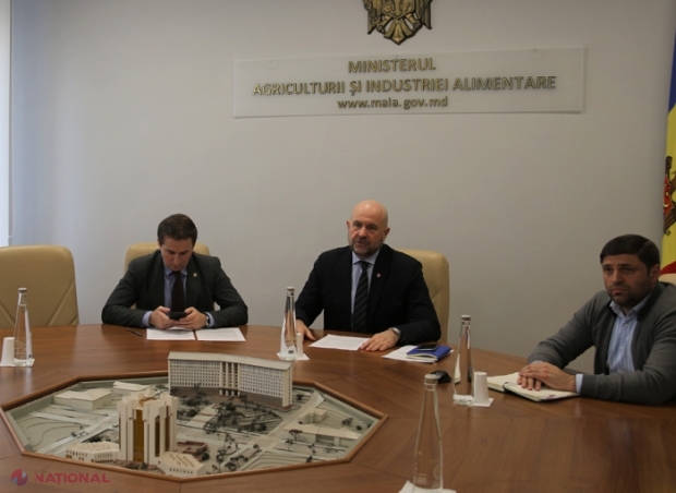 Grup de Mentorat pentru Republica Moldova, constituit la nivelul miniștrilor Agriculturii din UE: Chișinăul țintește lansarea unui amplu program de suport EU4Agriculture for Moldova, până în anul 2025