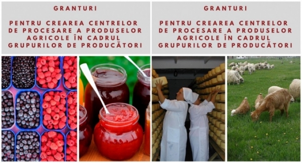 GRANTURI pentru crearea în R. Moldova a centrelor de procesare a produselor agricole