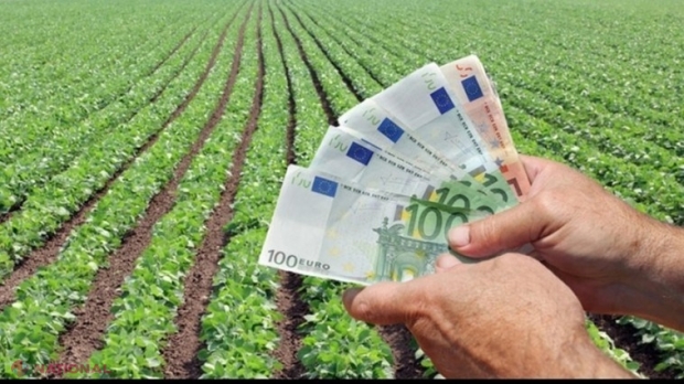 România are GRIJĂ de agricultorii săi. Despăgubiri de 3,5 MILIARDE de lei moldovenești pentru fermieri, ceea ce asigură minimum 80% din pierderi. Restul banilor vor fi alocați la rectificarea bugetului
