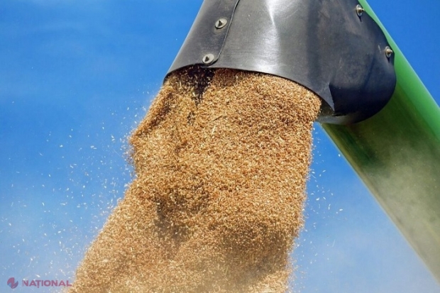Cum profită Rusia de pe urma invaziei Ucrainei: vinde cerealele furate pe o piață neagră globală