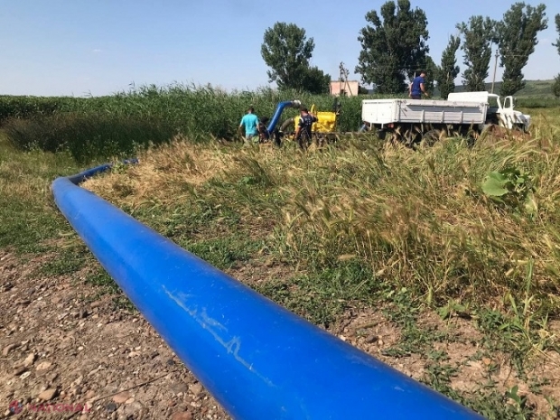 Căușeni: Zeci de ha cu grâu, floarea-soarelui și porumb, INUNDATE după ploile recente