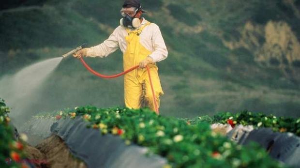 Metoda prin care aflăm dacă legumele sau fructele din comerț sunt tratate cu PESTICIDE. Cum putem ELIMINA simplu aceste substanțe chimice?