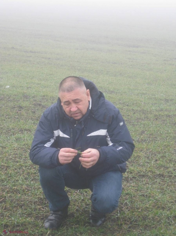 PROGNOZELE pentru anul agricol 2016 ale unui fermier din R. Moldova care deține peste două mii de hectare