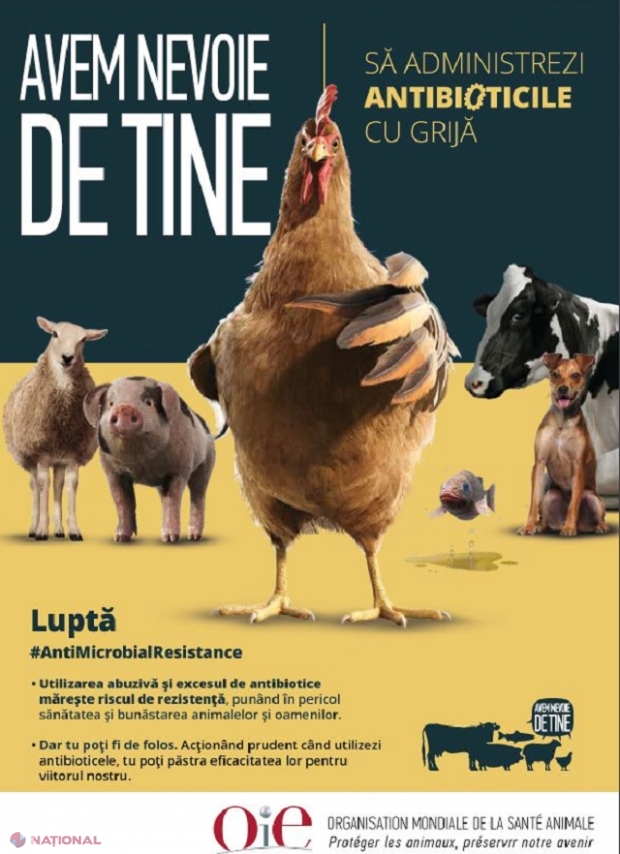 INTERDICȚIE // Farmaciile veterinare din R. Moldova NU mai pot comercializa antibiotice pentru animale și păsări în lipsa unei prescripții veterinare