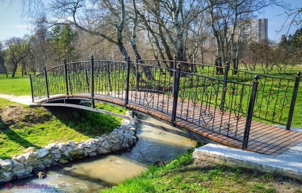 DECIS // Fără blocuri de locuit sau complexe comerciale pe teritoriul spațiilor verzi din R. Moldova 