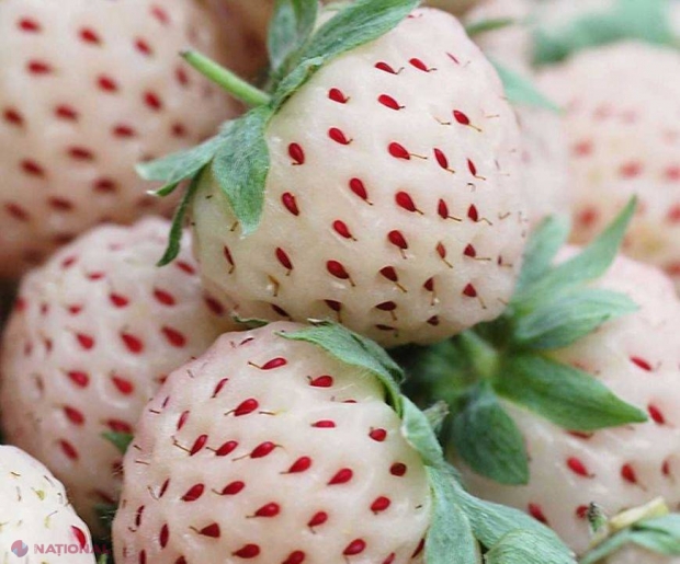 9 fructe hibrid pe care trebuie să le încerci măcar o dată în viață