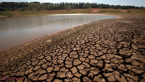 Violeta Ivanov: „Eu știu cum în patru ani să rezolvăm problema secetei în R. Moldova!”