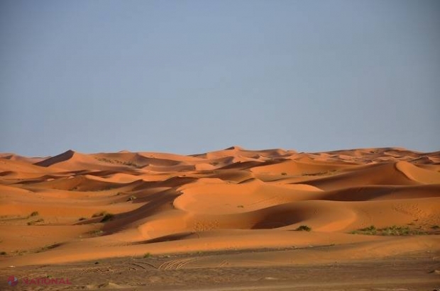 Zeci de migranți, găsiți morți în pustiu. Printre victime sunt 48 de copii