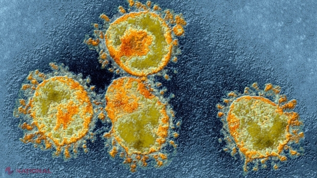 India anunță descoperirea unei noi tulpini a coronavirusului, cu două mutații