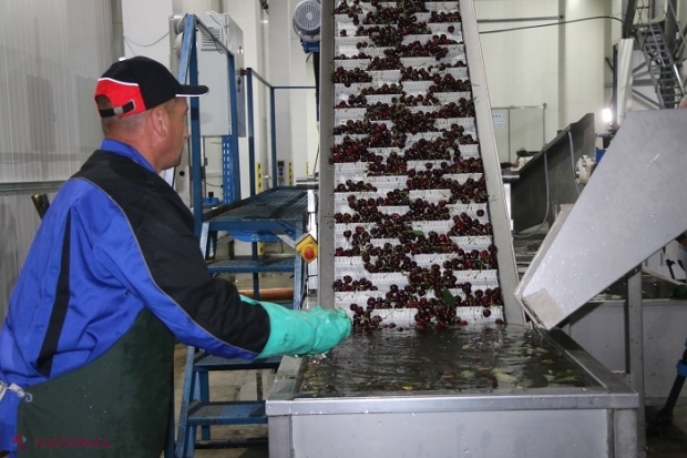 LISTA fermierilor din R. Moldova, premiați de Ziua Agricultorului