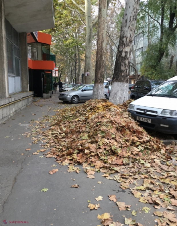 Locuitorii Chișinăului, îndemnați să iasă sâmbătă la STRÂNS FRUNZELE din oraș