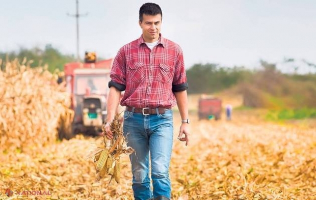 Veste bună! Se dă pământ gratuit dacă vrei să începi o afacere în domeniul agricol  