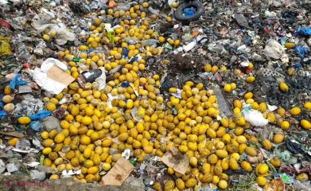 FOTO // Două tone de PEPENI galbeni, nimicite în R. Moldova: Zemoșii erau aduși din străinătate și prezentau PERICOL pentru sănătatea consumatorilor