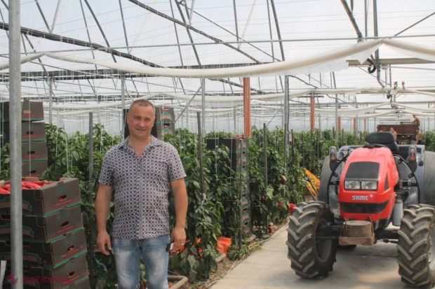 Legumele de la Criuleni, în magazinele din Chișinău