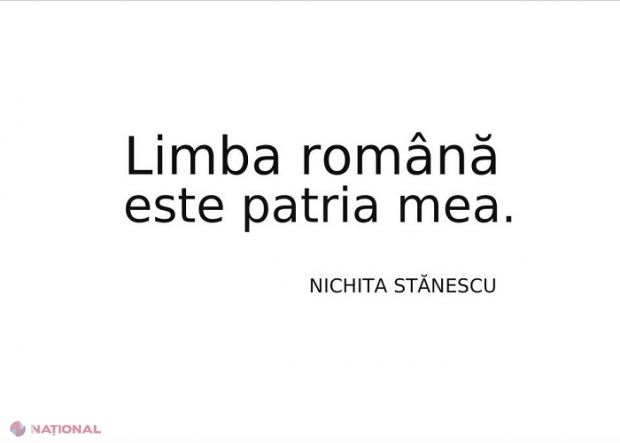 FARSĂ împotriva primarului PROROMÂN de la Ialoveni: Un PANOU care a scandalizat opinia publică. „Cineva face special”