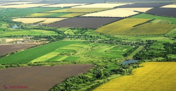 Proprietarii de terenuri agricole din raionul Dubăsari vor primi 16 MILIOANE de lei de la Guvern