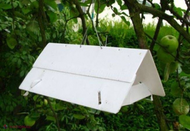„Arme noi”: Cum pot fermierii combate mai eficient dăunătorii