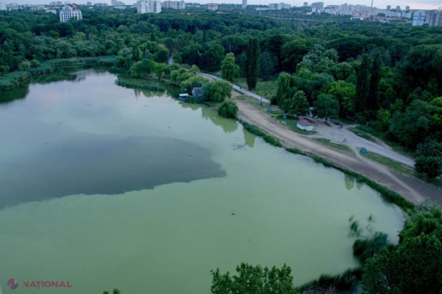 FOTO // Lacurile din Valea Trandafirilor se transformă în MLAȘTINĂ