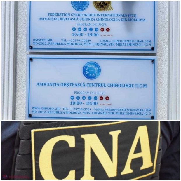 Ar fi sustras 17 milioane de lei încasate de la participanții la expoziții naționale și internaționale. Președintele Uniunii Chinologice, cercetat de CNA