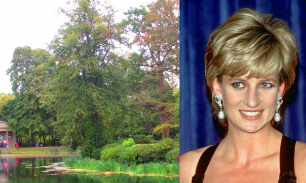 Unde e mormântul prințesei Diana și de ce nu se poate vizita. 36 de stejari și florile ei preferate, plantate în jurul locului de veci